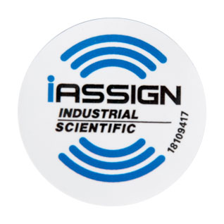 iassign05.jpg