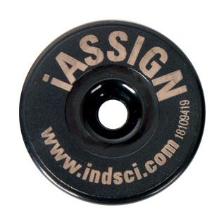 iassign03.jpg