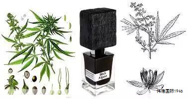 公认最好闻的8款温暖木质调香水推荐 公认最好闻的8款温暖木质调香水推荐