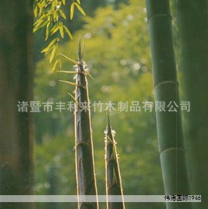 饮用水,也开始卷人体工学设计了? 饮用水,也开始卷人体工学设计了?