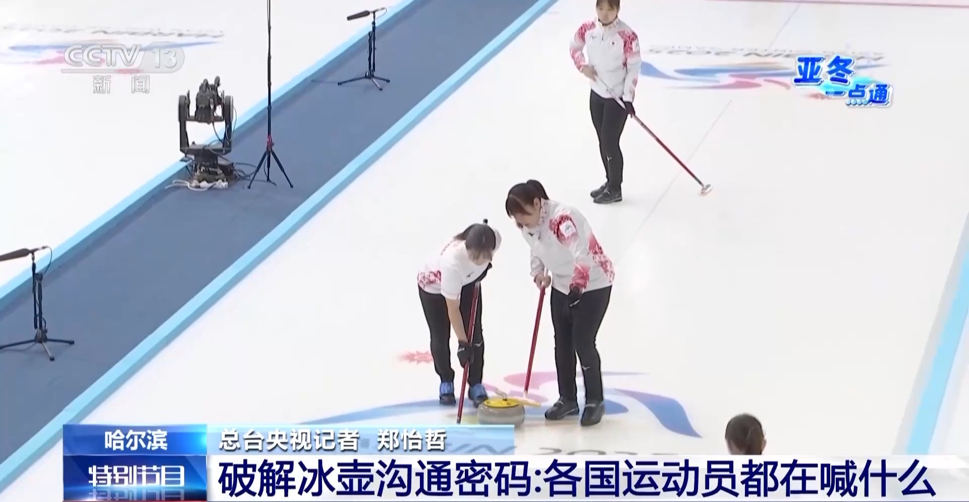 今日冰壶团体正式开赛，现场喊词密码揭秘：哈